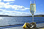 Sparkling and Oysters 