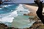 Coastal Island Safaris