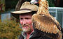 Raptor Domain - Birds of Prey