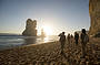 Two Day Great Ocean Road & Phillip Island Wildlife Adventure with Koala Photo