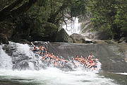 Barefoot Tours- Atherton Tablelands Tours from Cairns